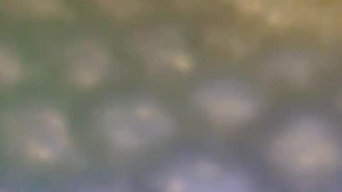 that_thing20 online show from March 5, 2025, 7:06 pm