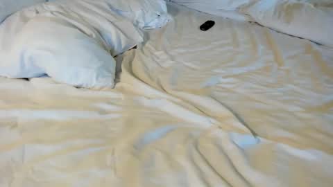 That guy  follow on X online show from February 5, 2026, 4:11 pm