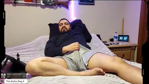 the_alpha_dog_xxx online show from February 23, 2026, 4:37 pm