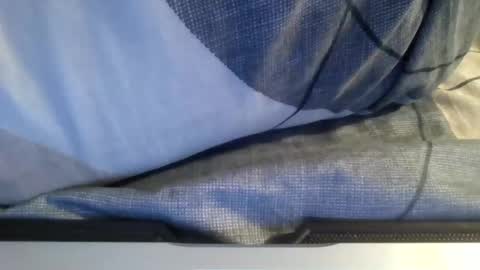 Snapshot of the_borderlands chatting on February 1, 2026, 12:48 pm the crazy travellers online show from February 1, 2026, 12:48 pm