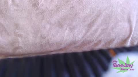 Snapshot of thebeejayshow chatting on December 4, 2024, 11:30 am TheBeeJayShow online show from December 4, 2024, 11:30 am