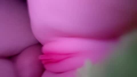 Snapshot of thebigcock4u222427 chatting on May 30, 2026, 4:42 am thebigcock4u222427 online show from May 30, 2026, 4:42 am