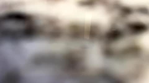 thebodythefeet online show from January 4, 2025, 7:23 pm