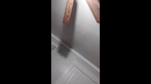 thedailyshower online show from March 9, 2026, 6:06 am