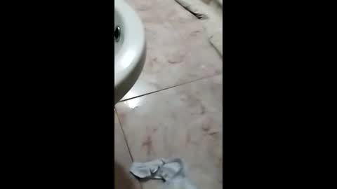 thedo121111 online show from October 1, 2025, 1:17 pm