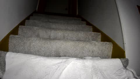 thegreat6268469 online show from March 9, 2025, 12:10 am