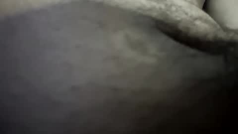 thehousedog online show from January 17, 2026, 12:32 pm