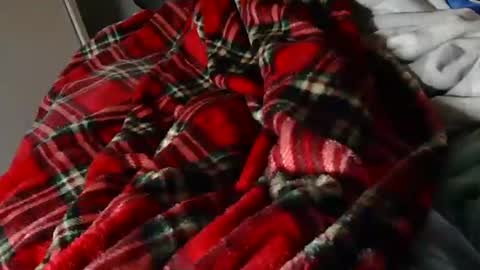 Liam online show from March 23, 2026, 8:35 pm