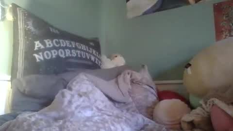 Snapshot of thelittlebambii chatting on December 13, 2024, 6:49 pm Little Bambii online show from December 13, 2024, 6:49 pm