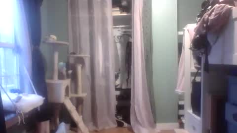 Snapshot of thelittlebambii chatting on January 27, 2025, 9:55 pm Little Bambii online show from January 27, 2025, 9:55 pm