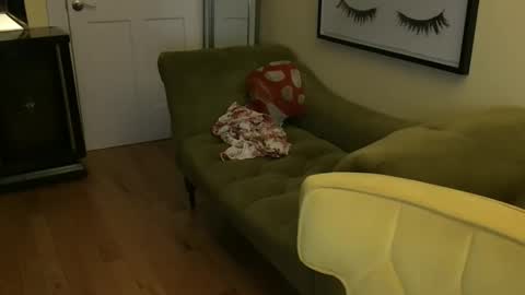 Cach Nelson online show from November 11, 2025, 8:36 am