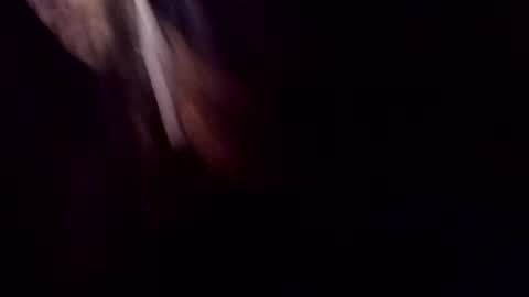 Snapshot of theprofessorxo chatting on September 29, 2025, 12:49 am theprofessorxo online show from September 29, 2025, 12:49 am