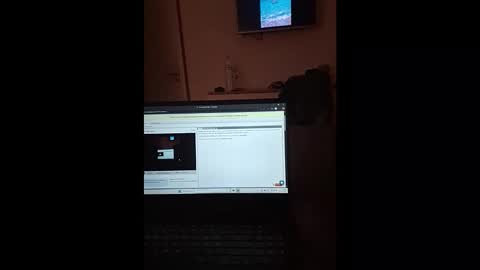 Snapshot of thesporttype chatting on November 1, 2025, 7:27 pm thesporttype online show from November 1, 2025, 7:27 pm