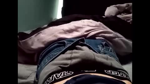 theturtleshead online show from January 23, 2025, 11:05 pm