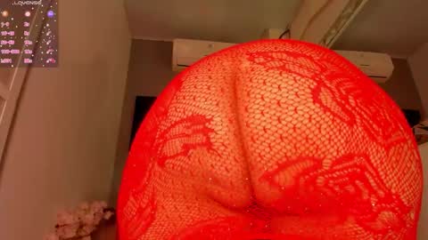 Lexxy online show from November 11, 2025, 12:05 pm