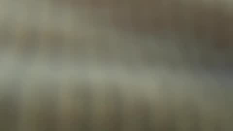 Snapshot of thickuncut7148704 chatting on May 18, 2026, 5:41 pm thickuncut7148704 online show from May 18, 2026, 5:41 pm