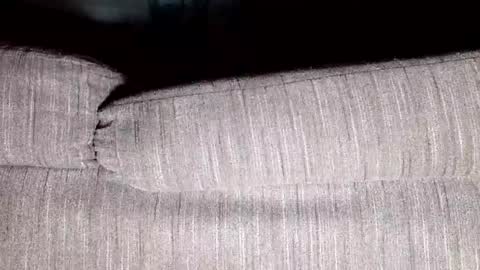 Thirsty4itall online show from January 8, 2025, 12:37 pm