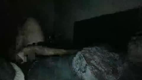 thisguyjake88 online show from March 8, 2026, 7:45 am