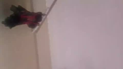 Thonas online show from November 5, 2025, 12:10 am