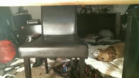 Snapshot of thumperdlj chatting on October 27, 2025, 1:15 pm Thumper online show from October 27, 2025, 1:15 pm