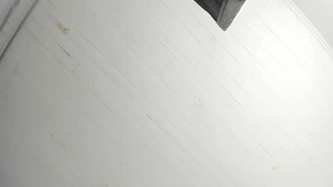 Tiffany online show from December 22, 2025, 1:08 pm