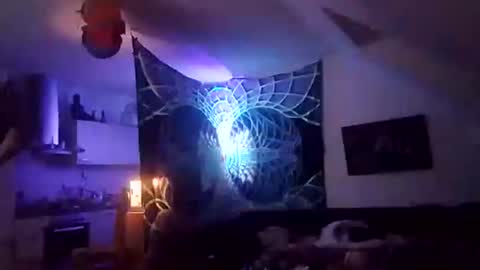 tigertrance online show from December 2, 2025, 12:49 am