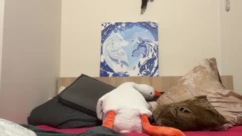 Wizard online show from February 9, 2025, 8:02 pm