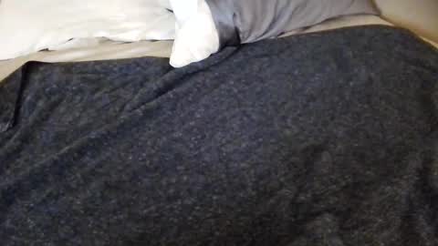 tinywithtiddies online show from April 25, 2026, 4:04 am