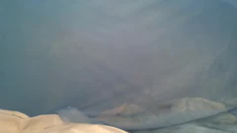 titswt online show from December 20, 2024, 2:08 am