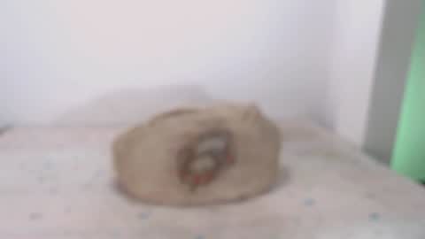 David online show from February 7, 2025, 9:16 am