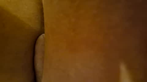 Snapshot of toadinhole chatting on December 22, 2024, 3:55 pm Toady online show from December 22, 2024, 3:55 pm