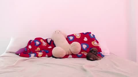 Adela y juan online show from December 2, 2024, 5:04 pm