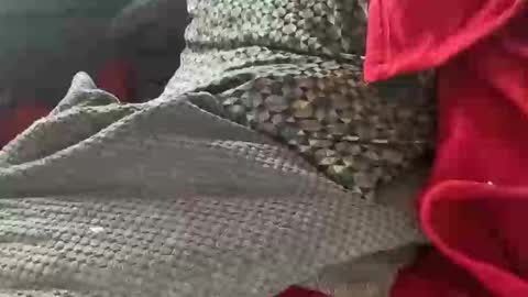 Tom online show from January 9, 2025, 1:35 pm