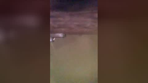 tomcop11111 online show from March 29, 2026, 9:20 am