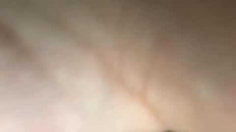 tomusa2 online show from September 14, 2025, 4:50 pm