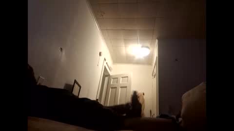 tonetanight online show from February 7, 2026, 4:22 pm