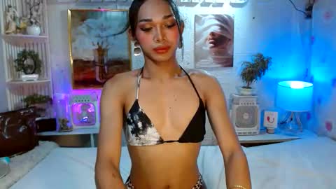 toptrans venice online show from May 25, 2026, 7:25 am