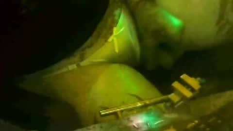 tosexyforjustus online show from March 15, 2026, 8:59 pm