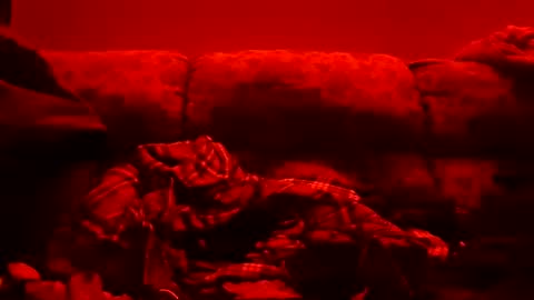 tretrix5588 online show from January 11, 2025, 10:51 am