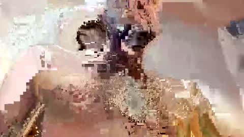 trex23rd online show from December 2, 2025, 9:47 am