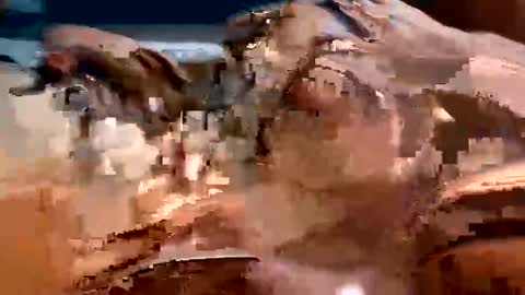 Snapshot of trigood chatting on February 13, 2025, 2:01 am trigood online show from February 13, 2025, 2:01 am