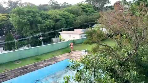 Snapshot of trigood chatting on November 28, 2025, 9:17 pm trigood online show from November 28, 2025, 9:17 pm