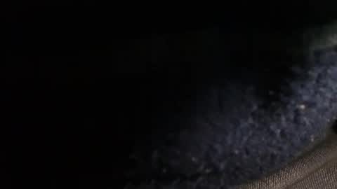 trobelle online show from December 20, 2024, 2:49 pm