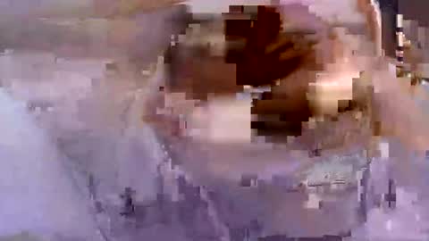 troy1965 online show from April 26, 2026, 5:27 am