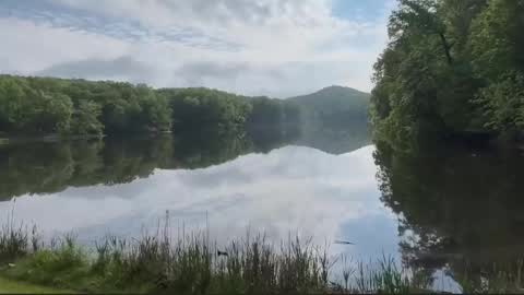 Treistoph online show from February 21, 2026, 1:56 pm