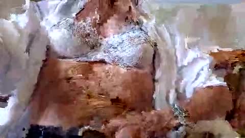 FINN but call me NANNA online show from September 9, 2025, 12:59 pm