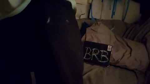 TwistedBlizzy online show from December 14, 2024, 2:56 am