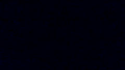 Snapshot of tyforsharing chatting on January 17, 2025, 7:51 am Tyler Chen online show from January 17, 2025, 7:51 am