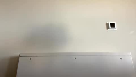 TylerC online show from September 21, 2025, 6:09 pm