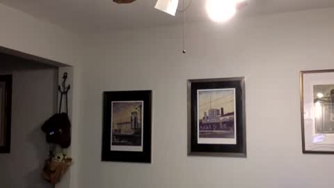 Tyler Durden online show from February 14, 2025, 2:07 am